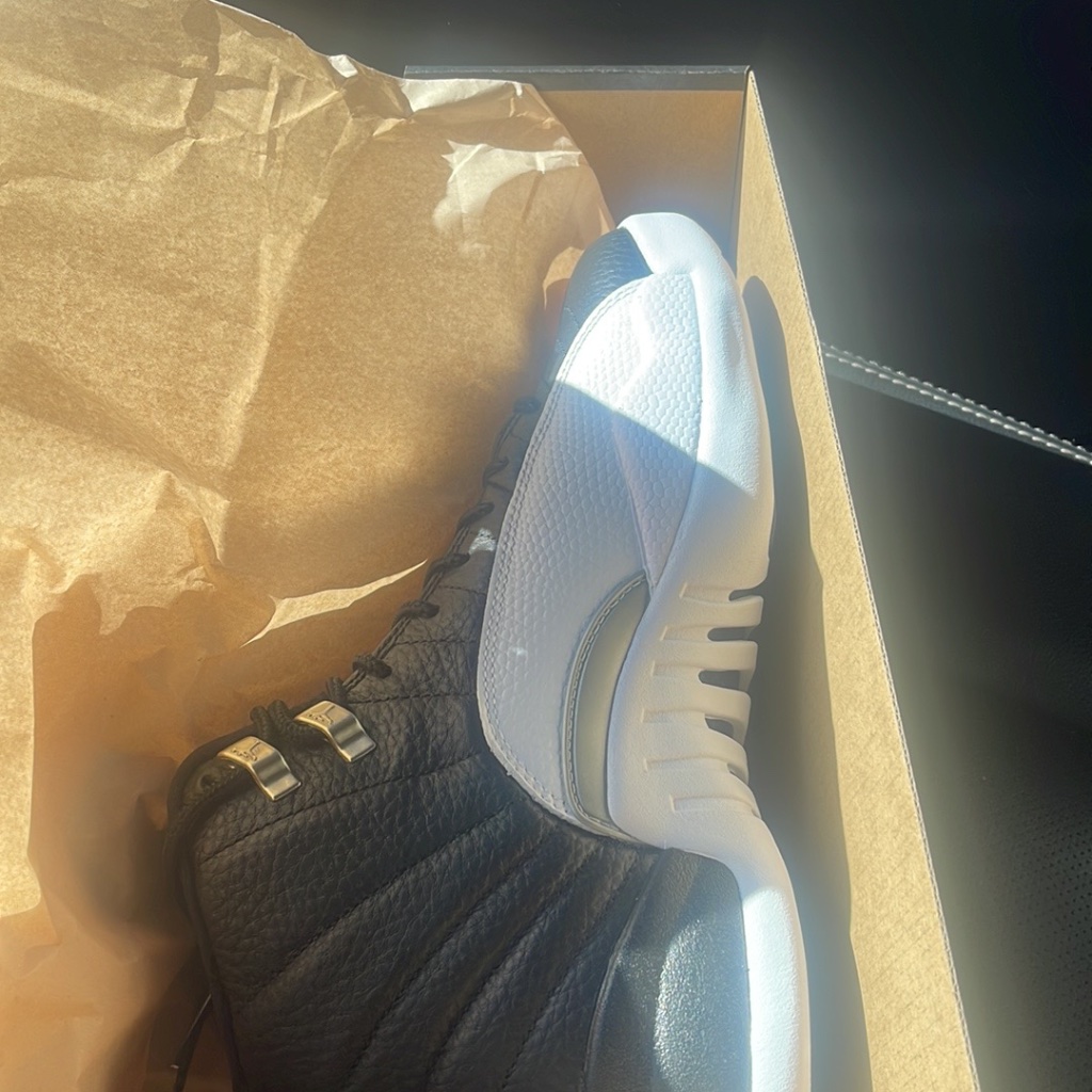 Playoffs Jordan 12s